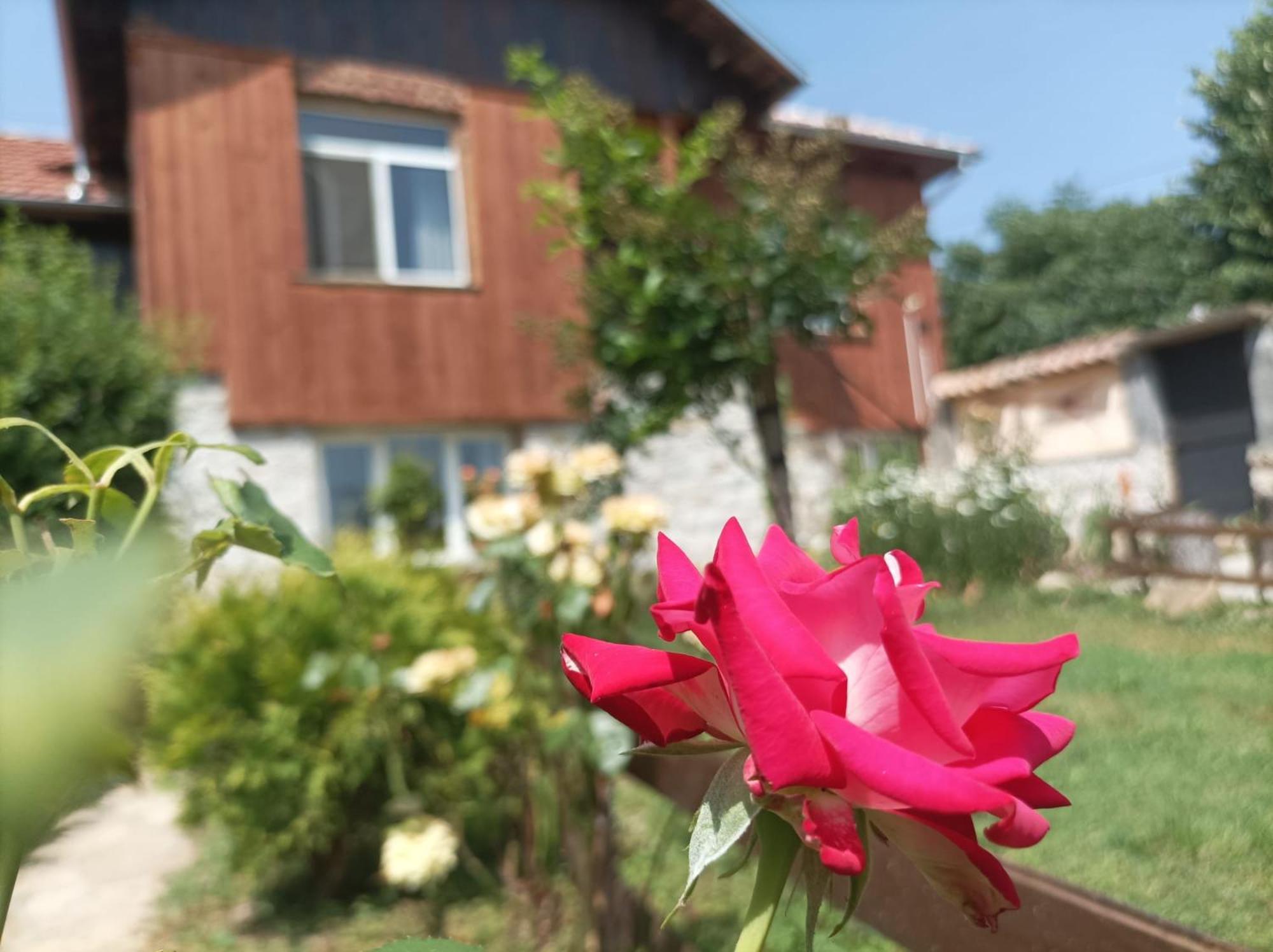 Villa Nina In Kramolin Eksteriør bilde